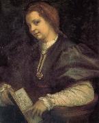 Andrea del Sarto Take the book portrait of woman Sweden oil painting artist